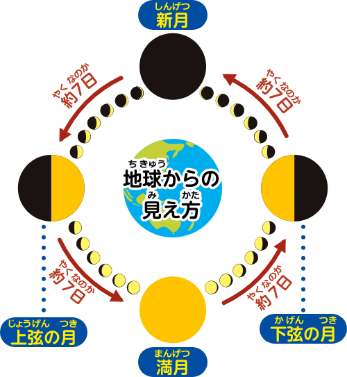 月の満ち欠けイラスト