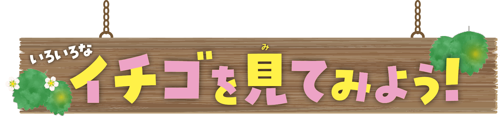 いろいろなイチゴを見てみよう！