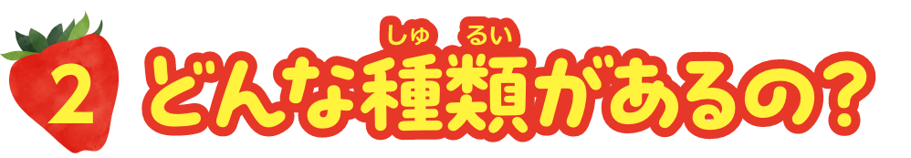 どんな種類があるの？