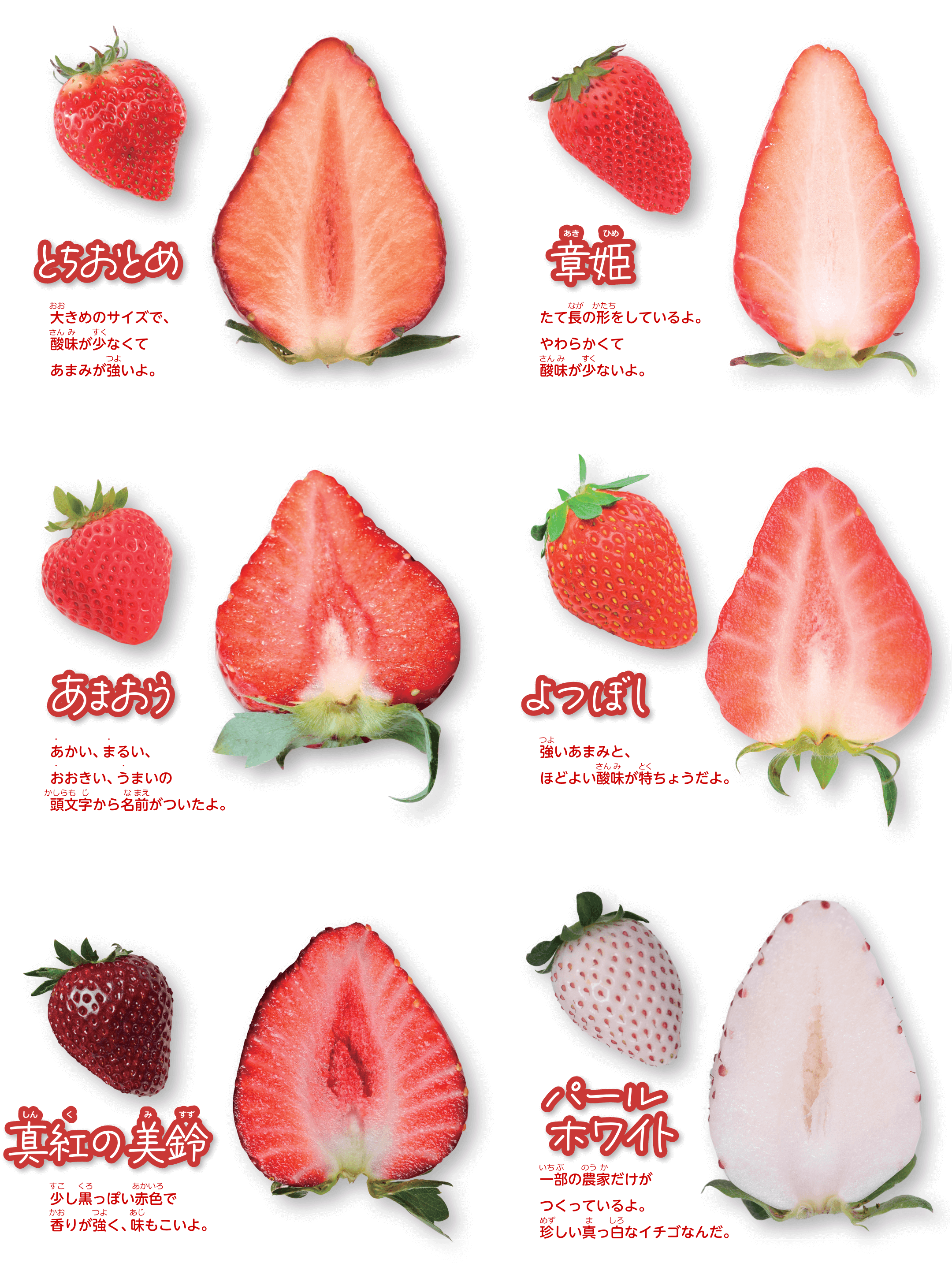 イチゴの種類画像　とちおとめ、章姫、あまおう、よつぼし、真紅の美鈴、パールホワイト
