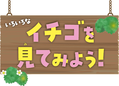 いろいろなイチゴを見てみよう！
