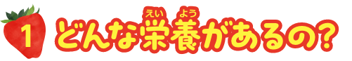 どんな栄養があるの？