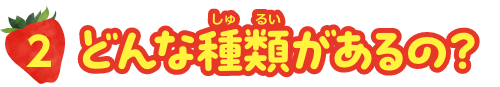 どんな種類があるの？