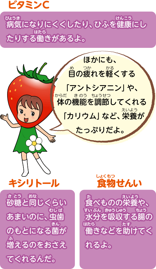 ビタミンCは病気になりにくくしたり、ひふを健康にしたりする働きがあるよ。キシリトールは砂糖と同じくらいあまいのに、虫歯のもとになる菌が増えるのをおさえてくれるんだ。食物せんいは食べものの栄養や、水分を吸収する腸の働きなどを助けてくれるよ。ほかにも、目の疲れを軽くする「アントシアニン」や、体の機能を調節してくれる「カリウム」など、栄養がたっぷりだよ。