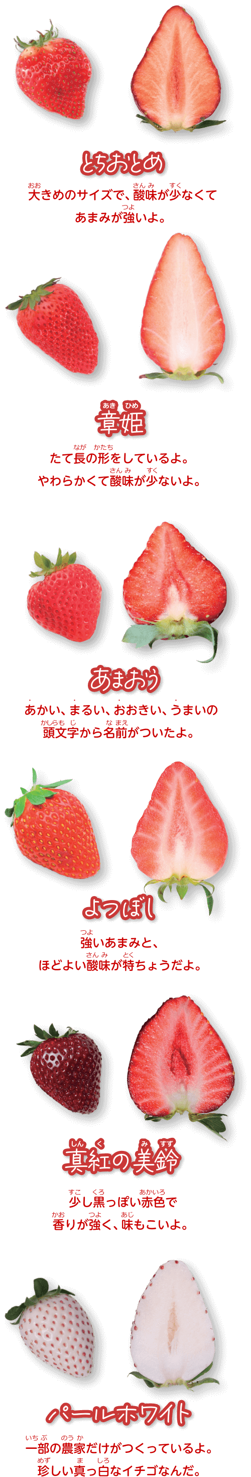 イチゴの種類画像　とちおとめ、章姫、あまおう、よつぼし、真紅の美鈴、パールホワイト