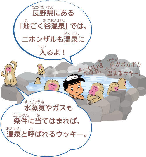 水蒸気やガスも条件に当てはまれば、温泉と呼ばれるウッキー。長野県にある「地ごく谷温泉」では、ニホンザルも温泉に入るよ！