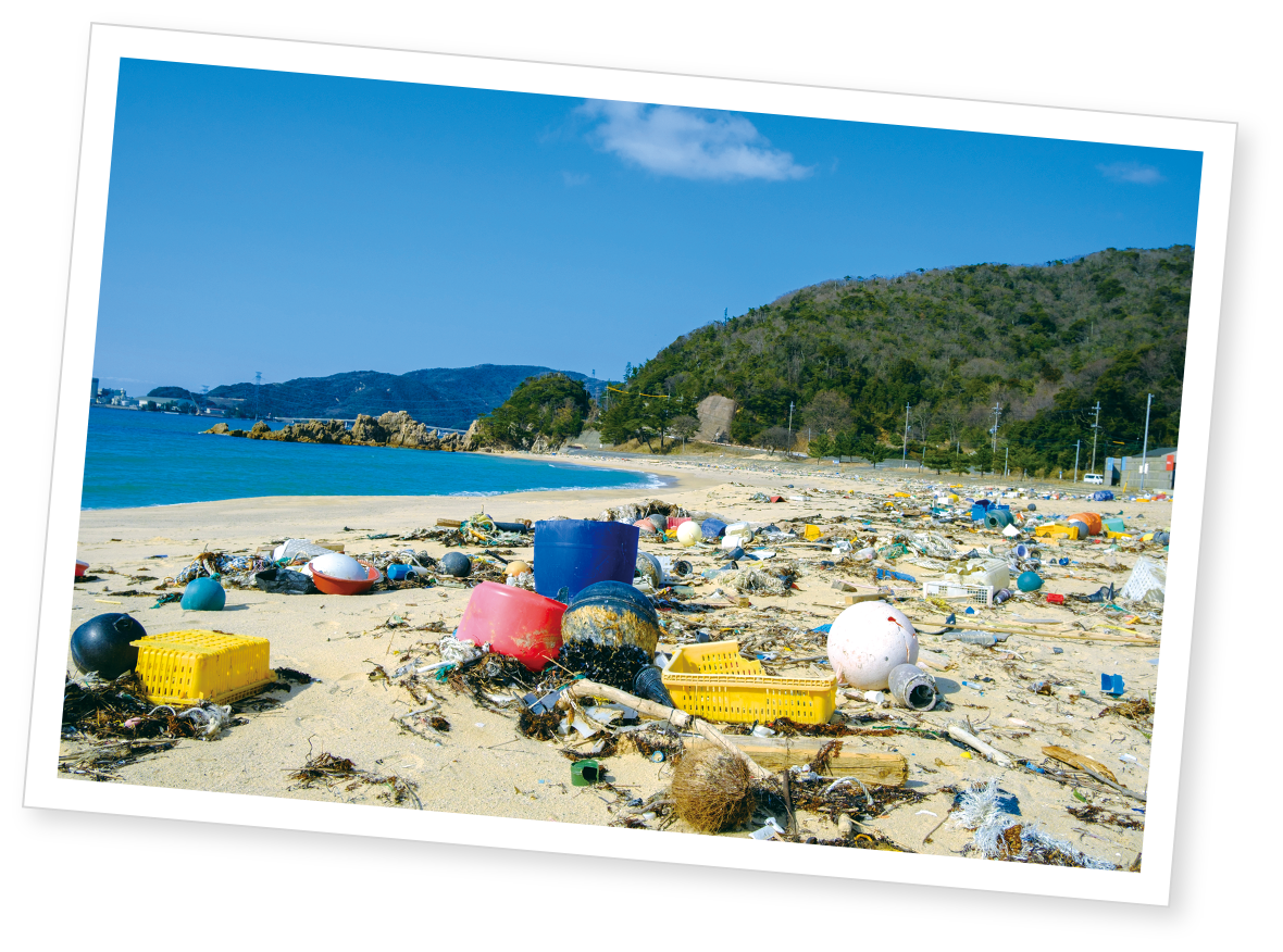 海岸のごみの写真