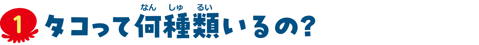 特集1　タコって何種類いるの？<
