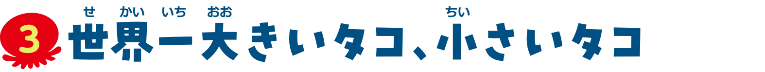 特集3　世界一大きいタコ、小さいタコ