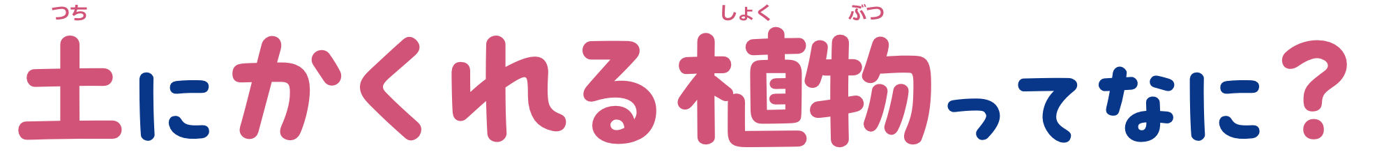 土にかくれる植物ってなに？