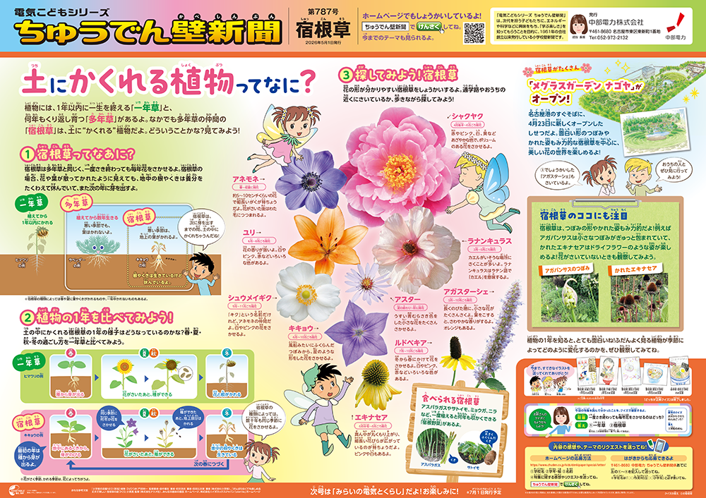 壁新聞画像