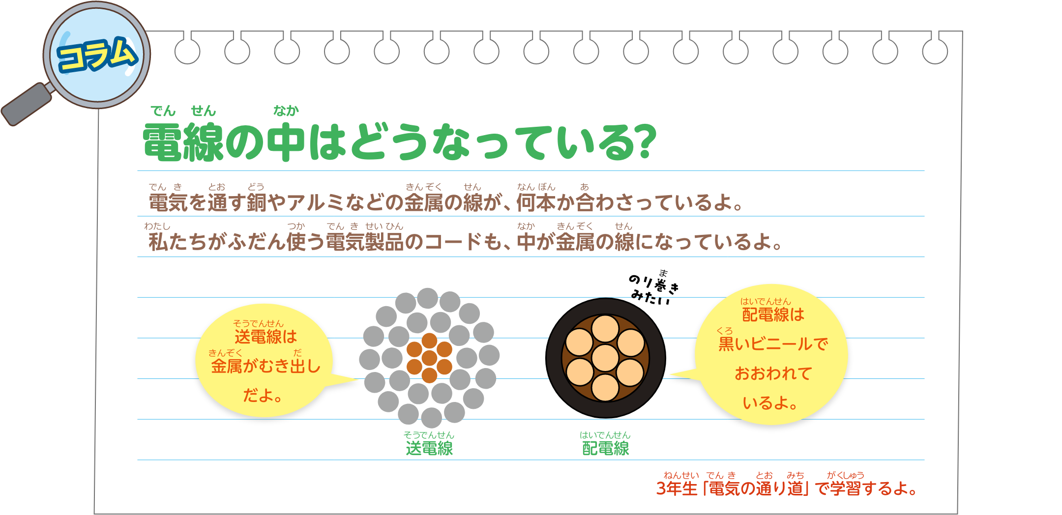 コラム　電線の中はどうなっている？