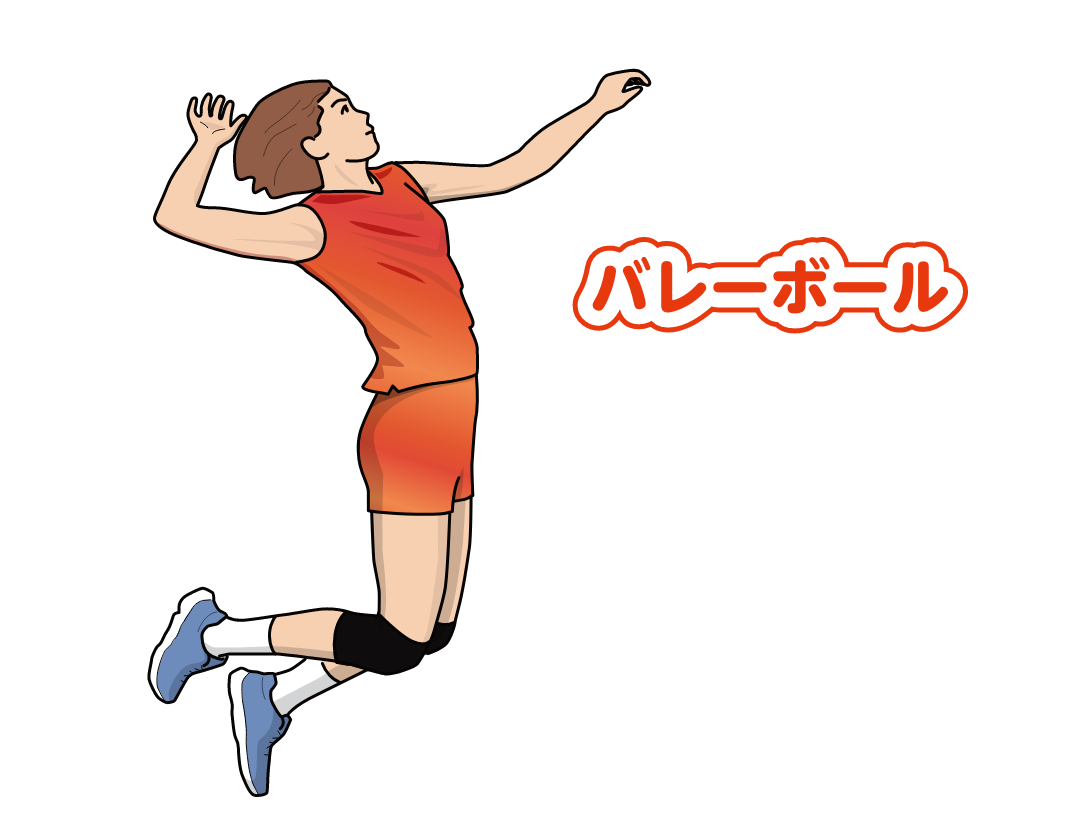 バレーボール