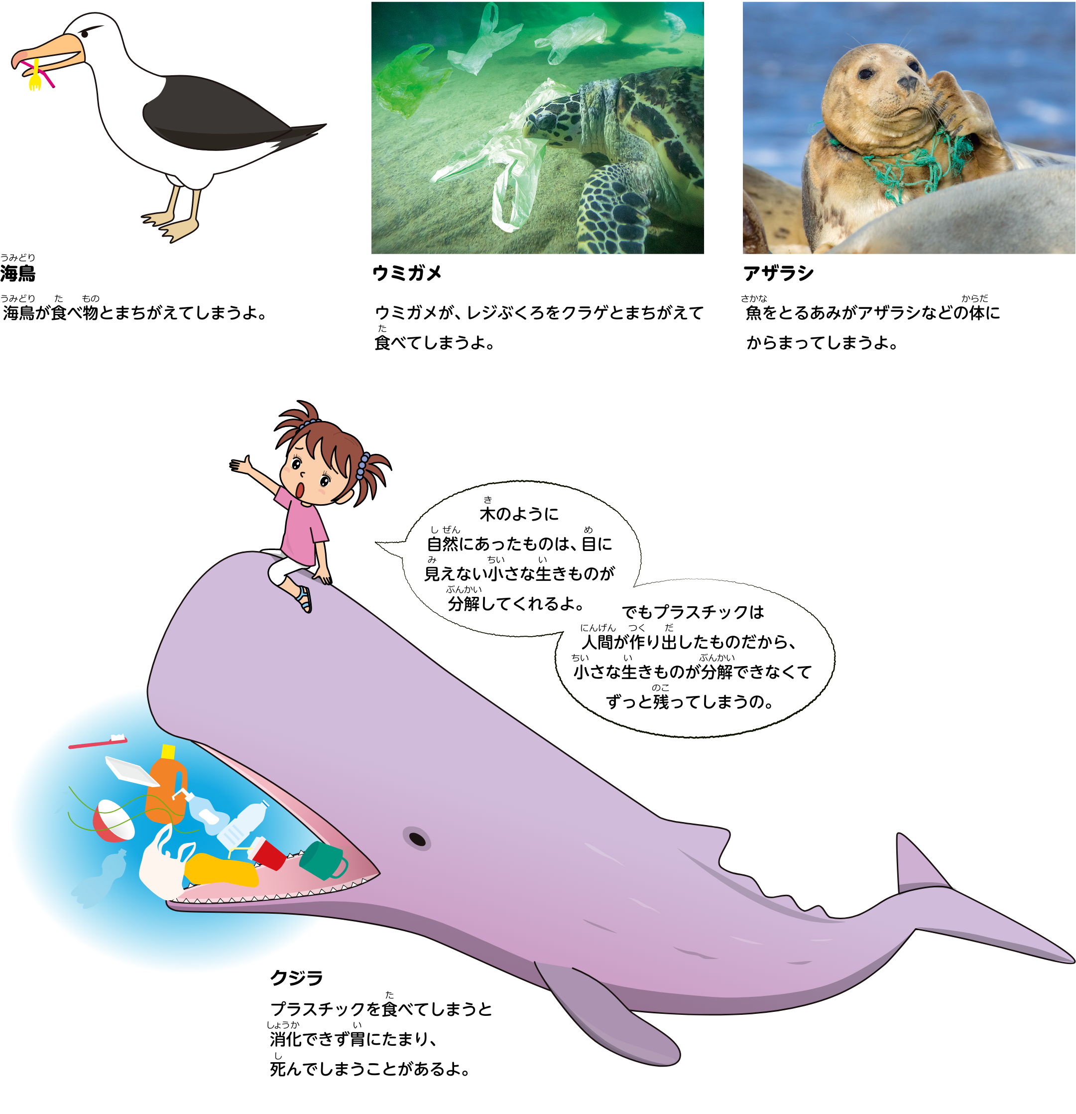 ウミドリ：海鳥が食べ物とまちがえてしまうよ。ウミガメ：ウミガメが、レジぶくろをクラゲとまちがえて食べてしまうよ。アザラシ：魚をとるあみがアザラシなどの体にからまってしまうよ。クジラ：プラスチックを食べてしまうと消化できず胃にたまり、死んでしまうことがあるよ。