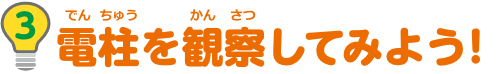 特集3　電柱を観察してみよう！