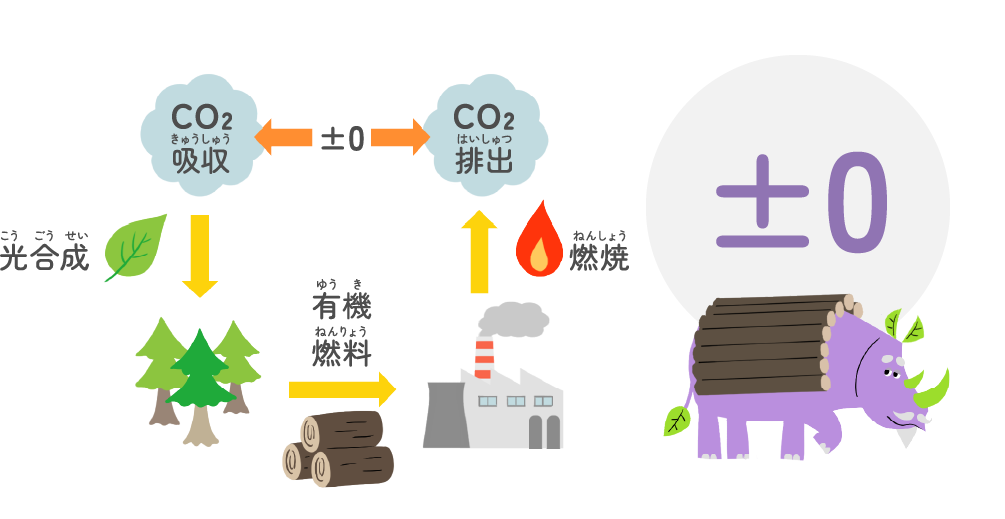 発電する時にCO2を出す量が「実質ゼロ」って、どういう意味!?