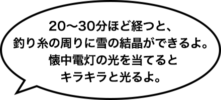 20～30分ほど経つと、釣り糸の周りに雪の結晶ができるよ。懐中電灯の光を当てるとキラキラと光るよ。