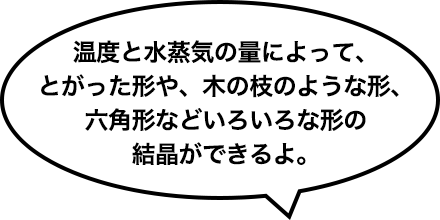 温度と水蒸気の量によって、とがった形や、木の枝のような形、六角形などいろいろな形の結晶ができるよ。