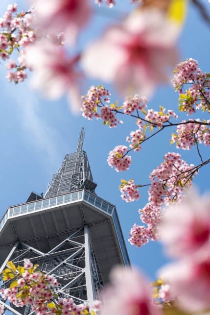 中部電力MIRAI TOWERの投稿写真