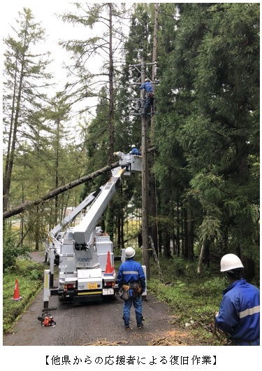 他県からの応援者による復旧作業の写真