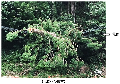 9月6日の復旧作業の様子（岐阜県郡上市にて撮影）の画像