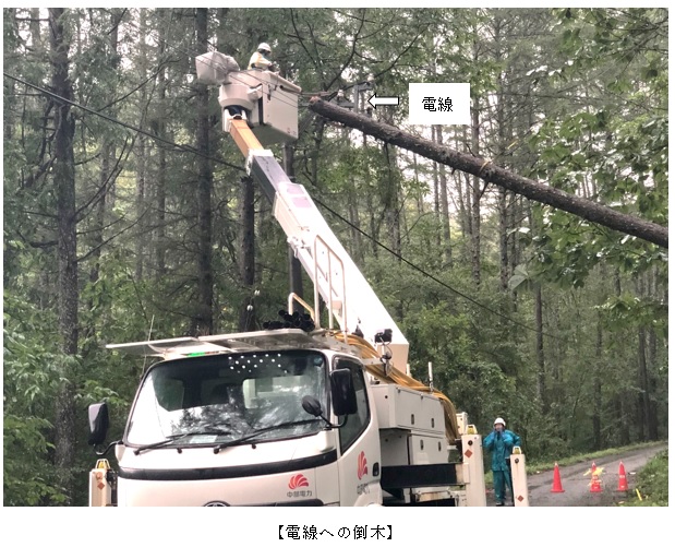 電線への倒木の写真