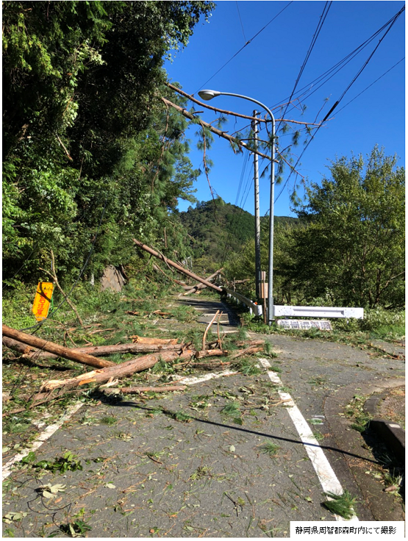 静岡県周智郡森町内にて撮影