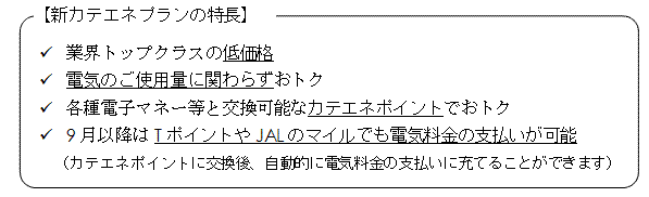 新カテエネプランの特長の表