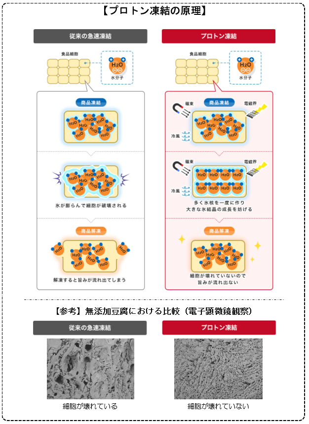 プロトン凍結の原理