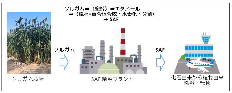 ソルガムからのSAF生産概念フロー図の画像 ソルガムからのSAF生産概念フロー図の画像