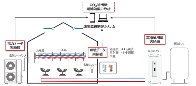 実証イメージの画像