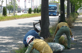 発電所北側道路を清掃する所員たちの様子の写真