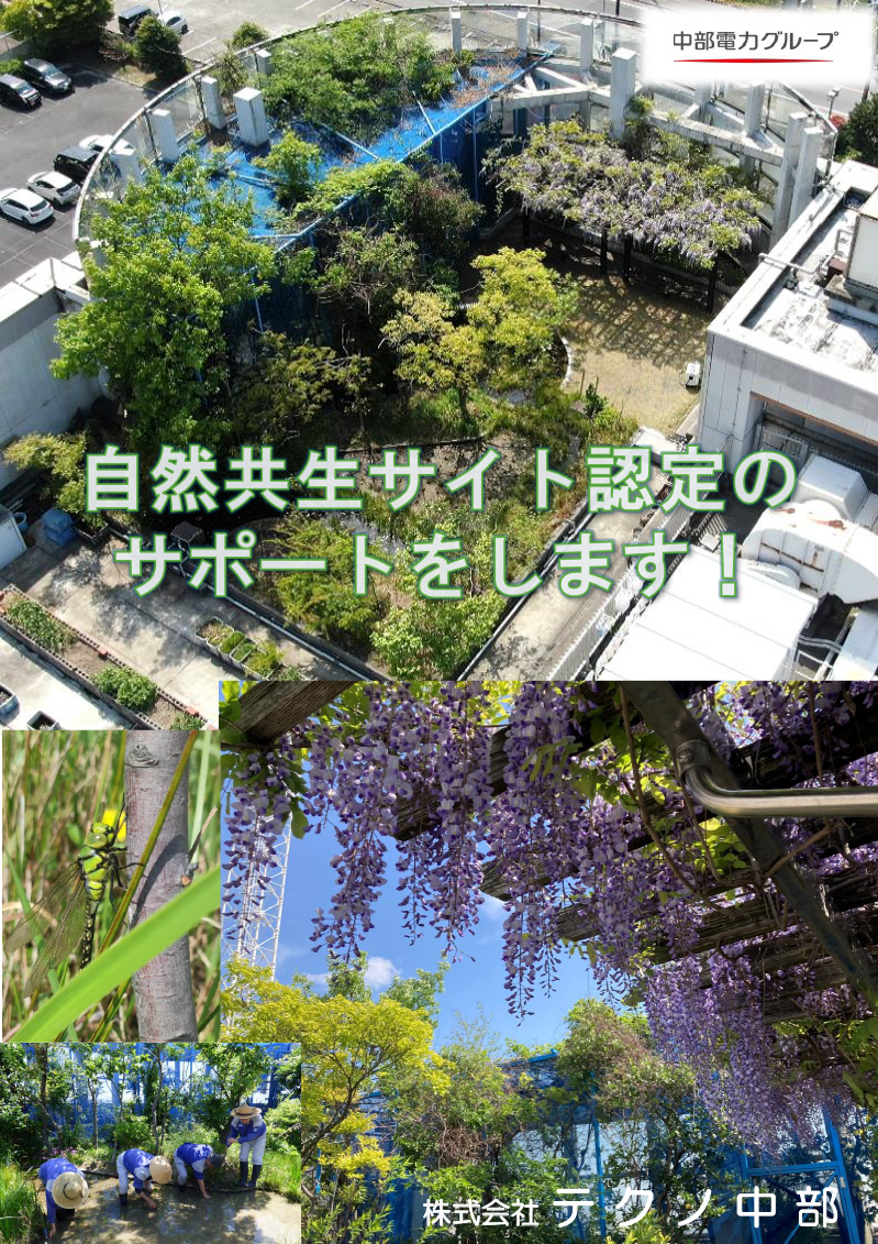 ポスターイメージ画像