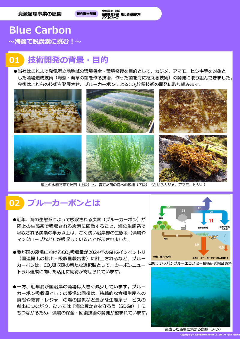 ポスターイメージ画像