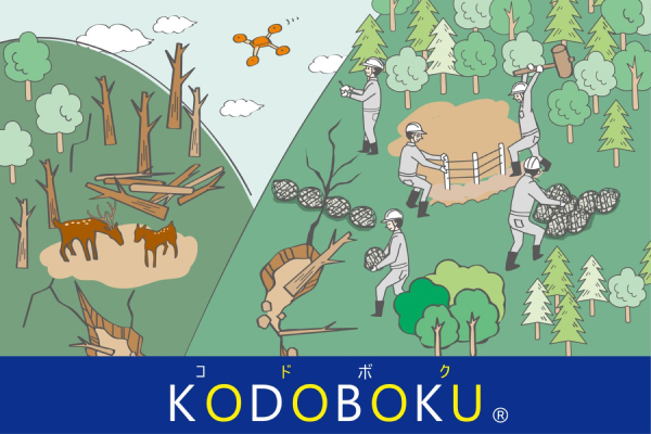 KODOBOKU技術の実践と未来~施工事例から見る新たな可能性~