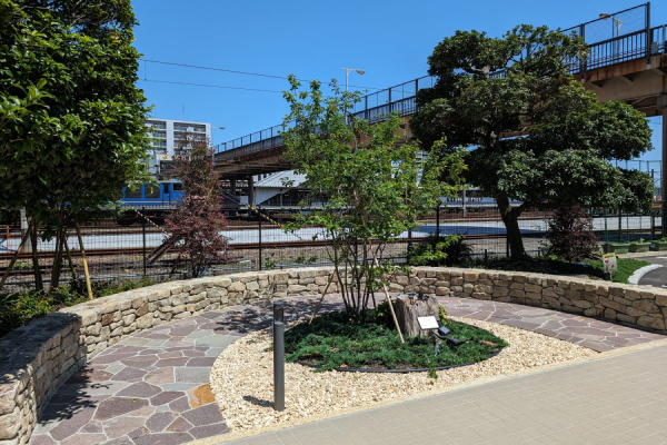 緑化に関する新技術