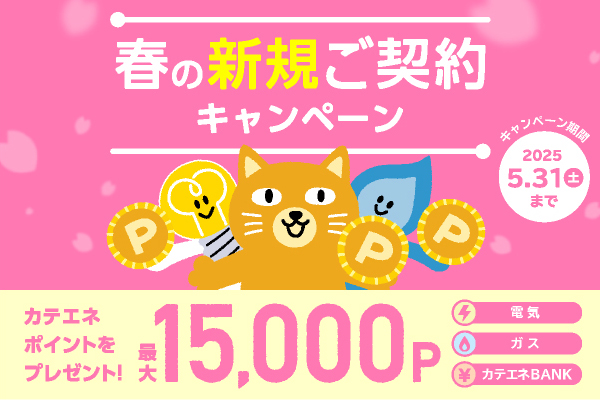 春の新規ご契約キャンペーンのイメージ