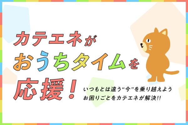 カテエネがおうちタイムを応援！ サムネイル