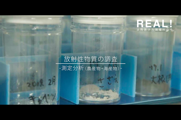 #33【分析1】測定分析（農産物・海産物）のイメージ
