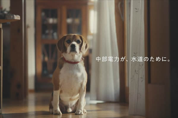 中部電力、挑戦中。水道事業篇 short Ver.（15秒）のイメージ