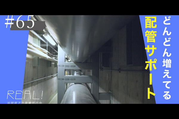 #65【浜岡原子力発電所の今／REAL!】発電所の中の配管などは「地震の揺れ」からどう守られているのか？のイメージ