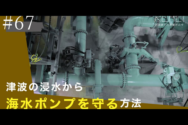 #67【浜岡原子力発電所の今／REAL!】なぜ非常用のポンプは「敷地内が浸水しても」稼働できるのか？のイメージ