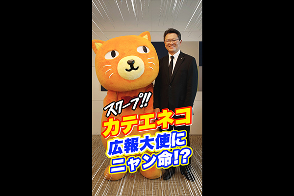 カテエネコ　広報大使ニャン命式のイメージ