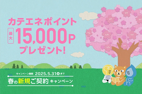 「春の新規ご契約キャンペーン　絵本」篇のイメージ