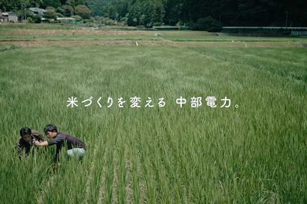 中部電力、挑戦中。水を張らない米づくり篇（15秒）のイメージ