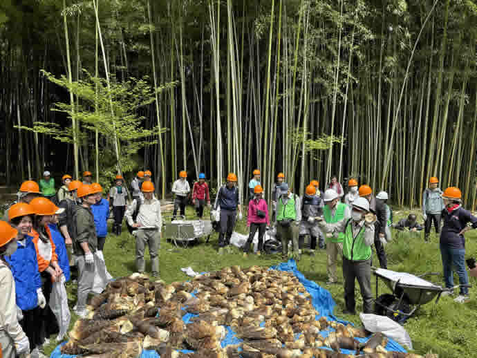 環境保全活動 生物多様性に寄与する竹林管理のお手伝い「タケノコ掘り」を実施しましたイメージ